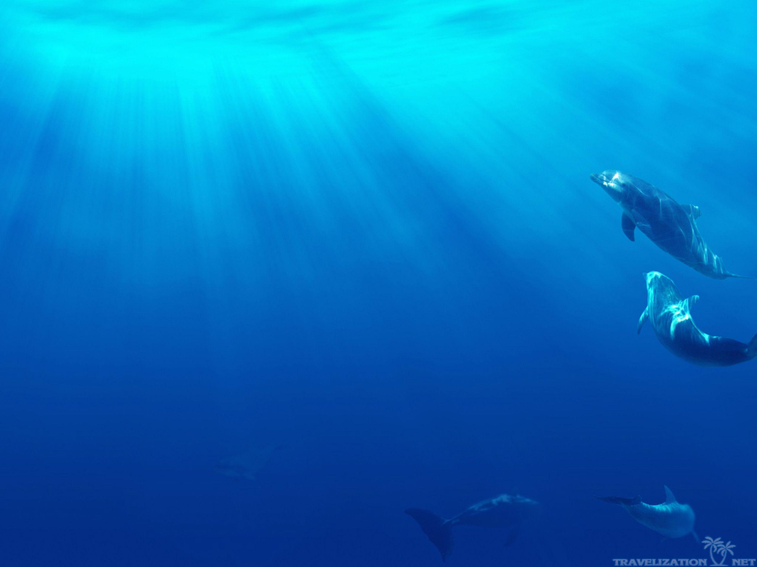Best Nature Wallpaper: Deep Sea, Nature