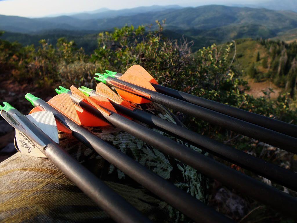 The DIY Hunter Archery Hunting for Elk in the Utah Wasatch