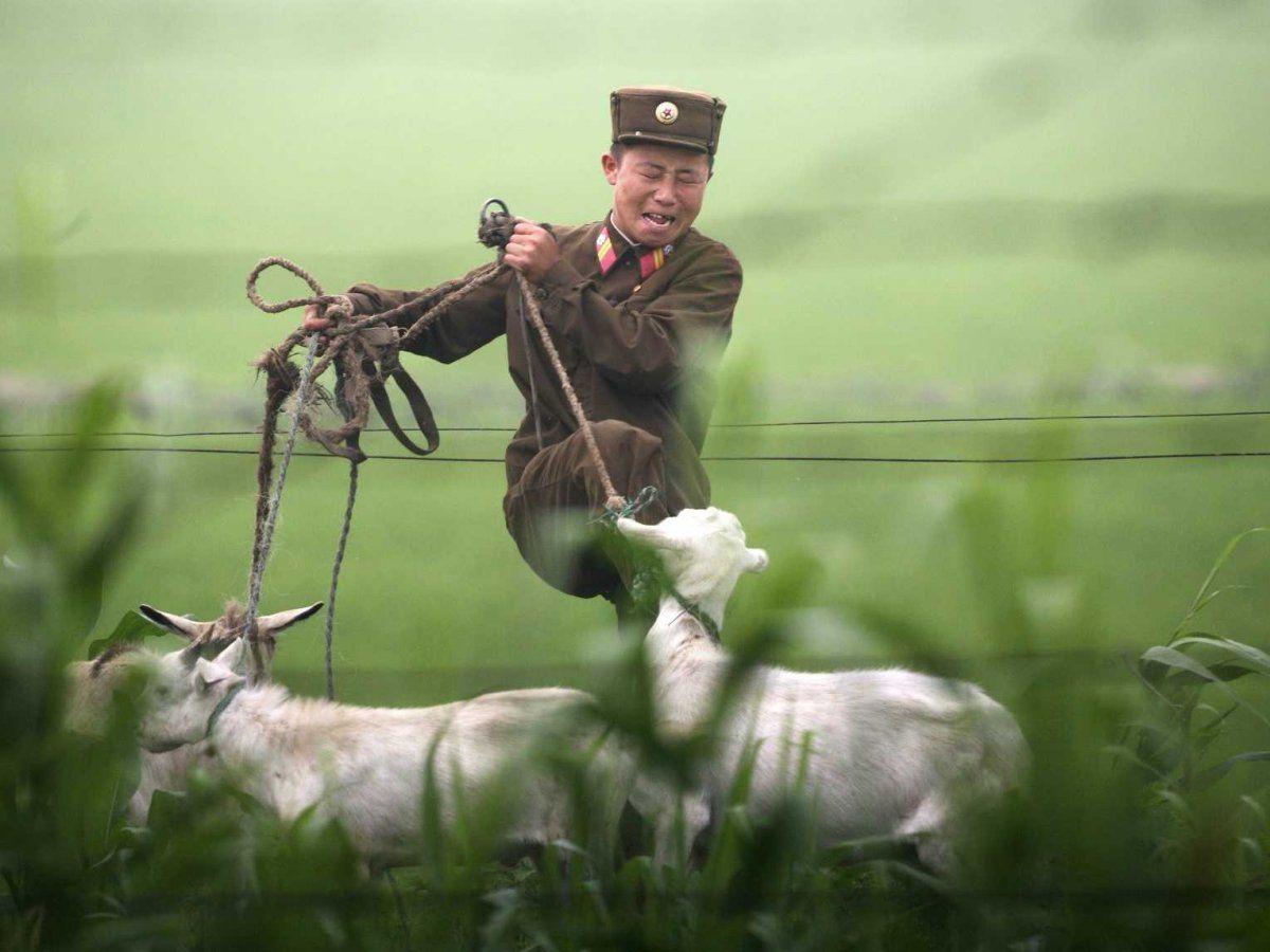 North Korea's 2013 Summed Up In 13 Photo