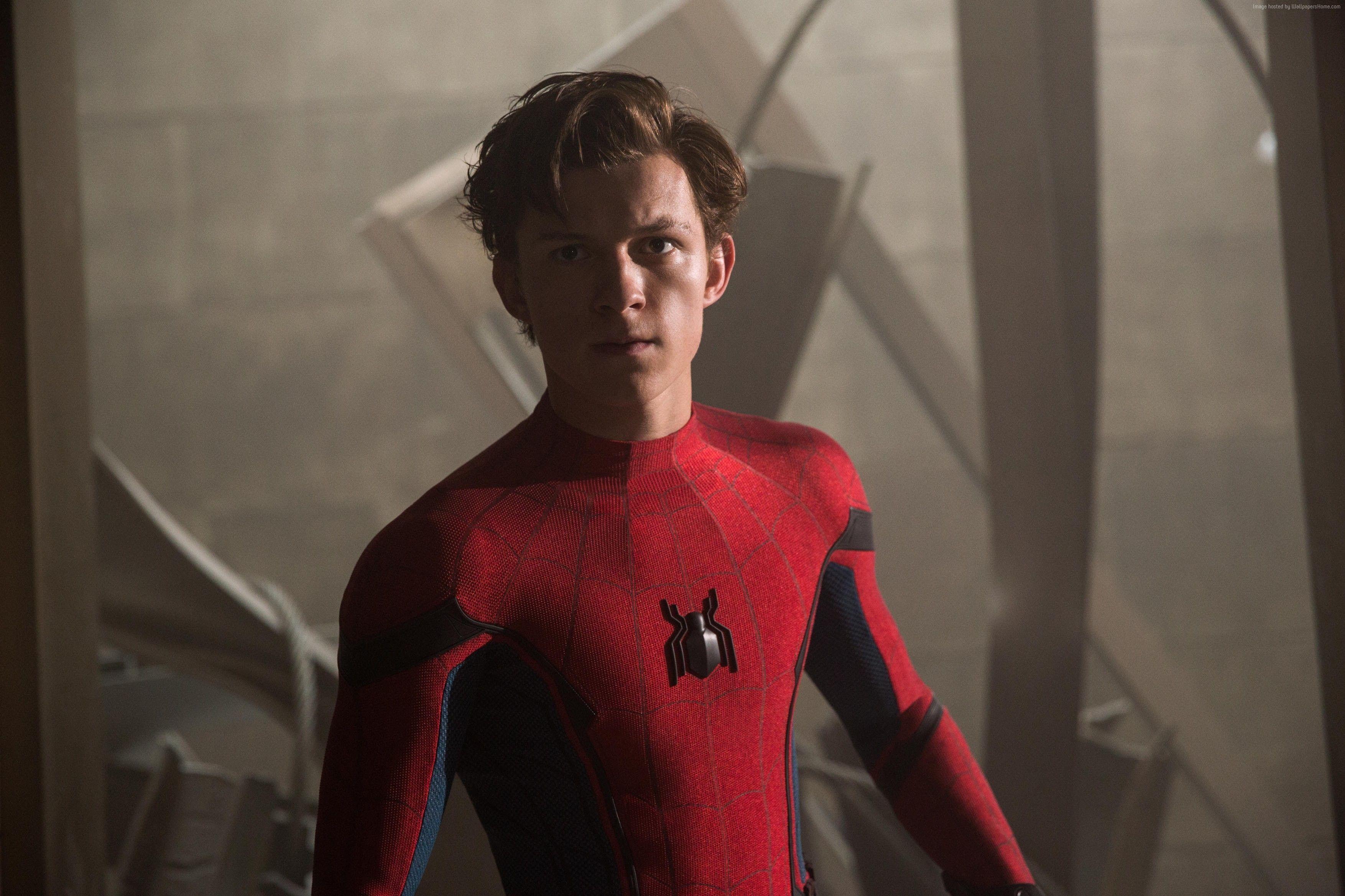 Wallpaper Spider Man: Homecoming, 4k, Tom Holland, Movies
