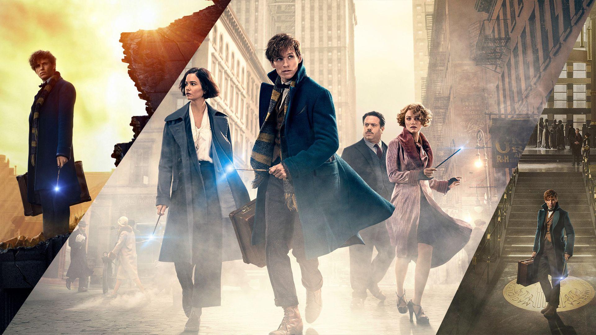 Fantastic Beasts and Where to Find Them Computer Wallpaper