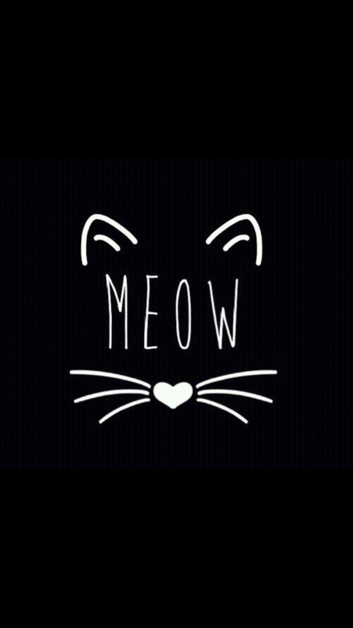 Meow High Resolution Wallpaper's Collection