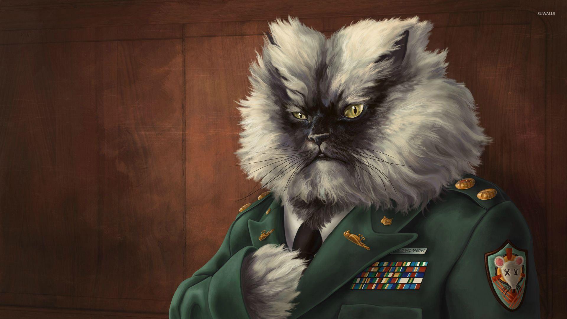 Colonel Meow wallpaper wallpaper