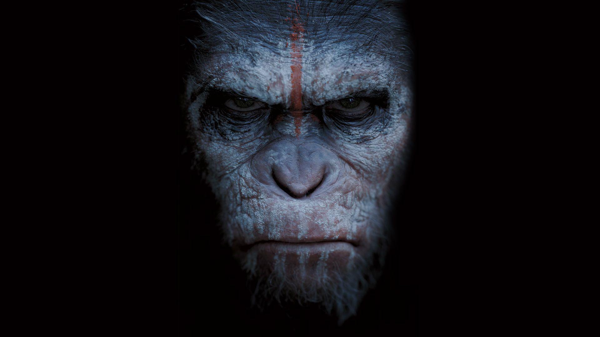 War For The Planet Of The Apes Wallpaper High Quality