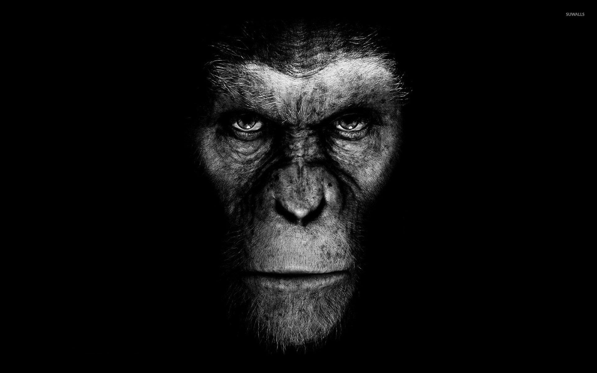 Rise of the Planet of the Apes Movie Wallpaper
