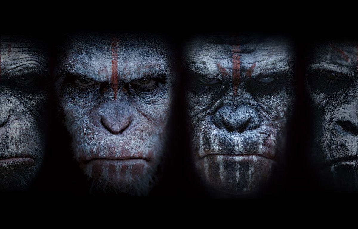 Caesar Planet Of The Apes Wallpapers - Wallpaper Cave