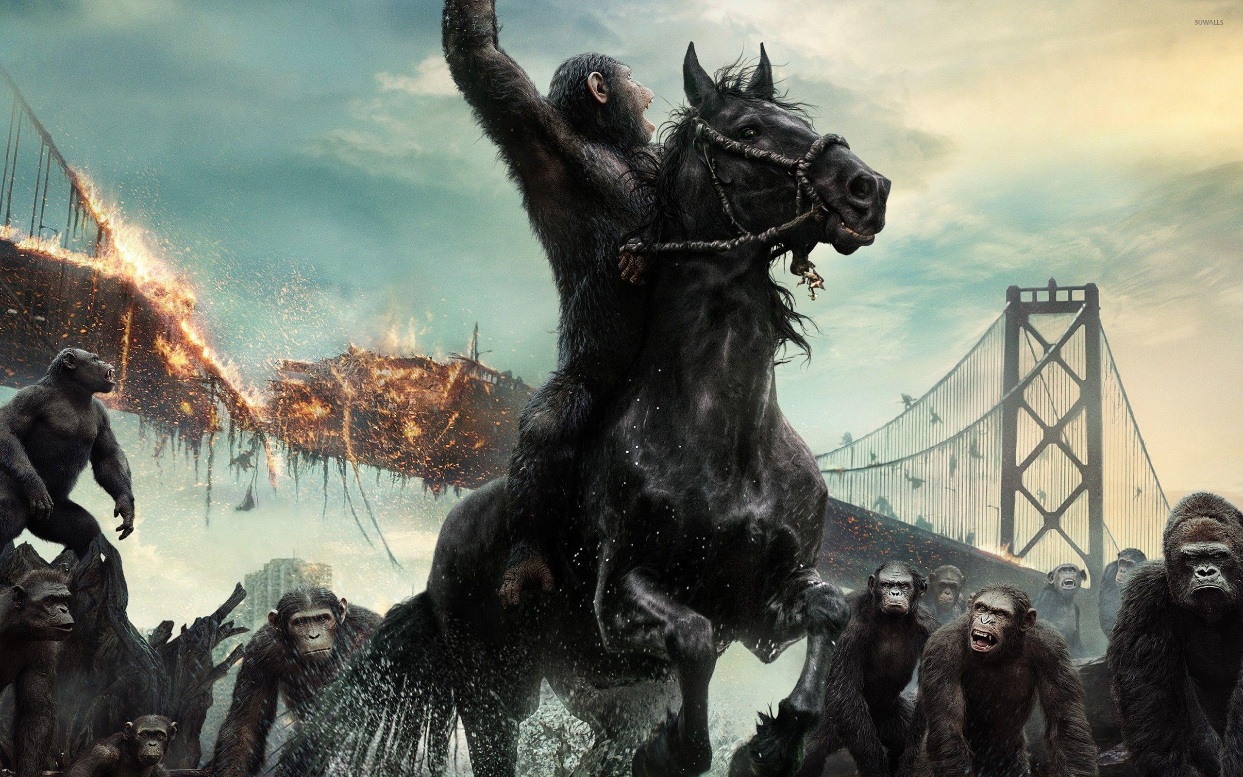 Caesar in Dawn of the Planet of the Apes wallpaper