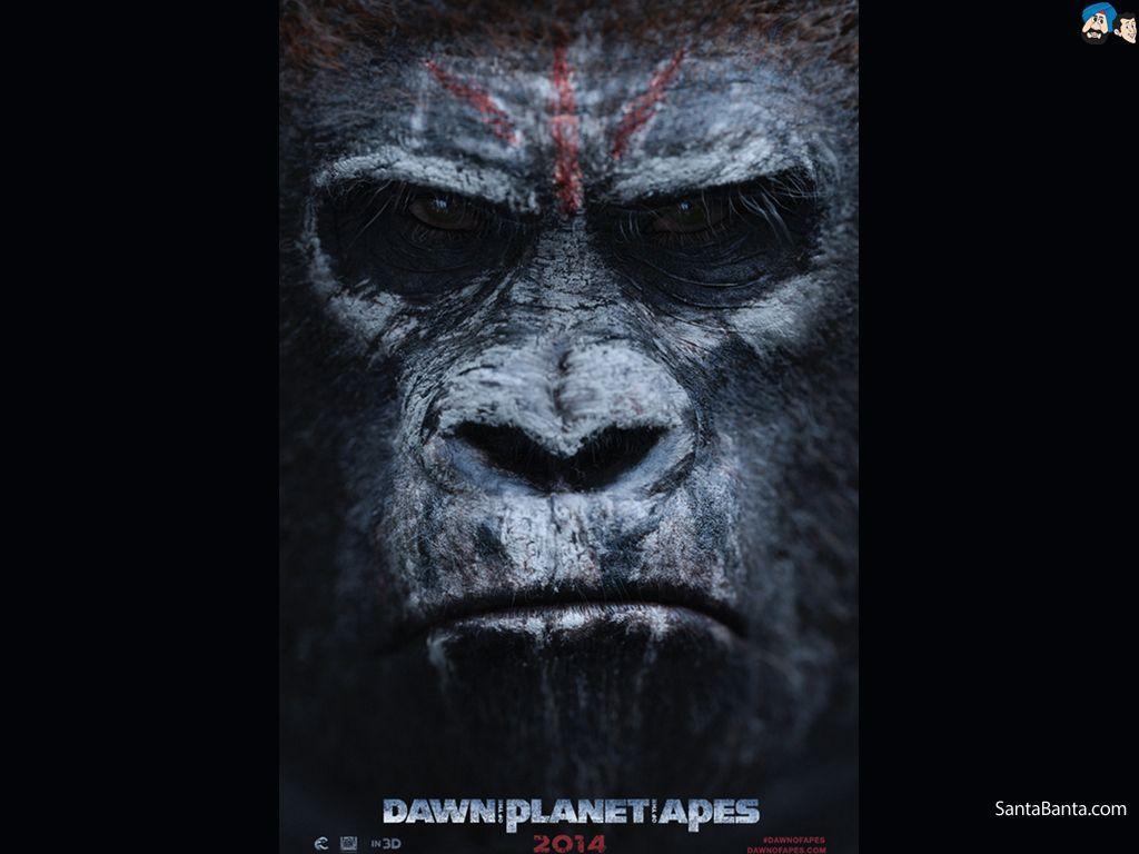 Dawn Of The Planet Of The Apes Movie Wallpaper