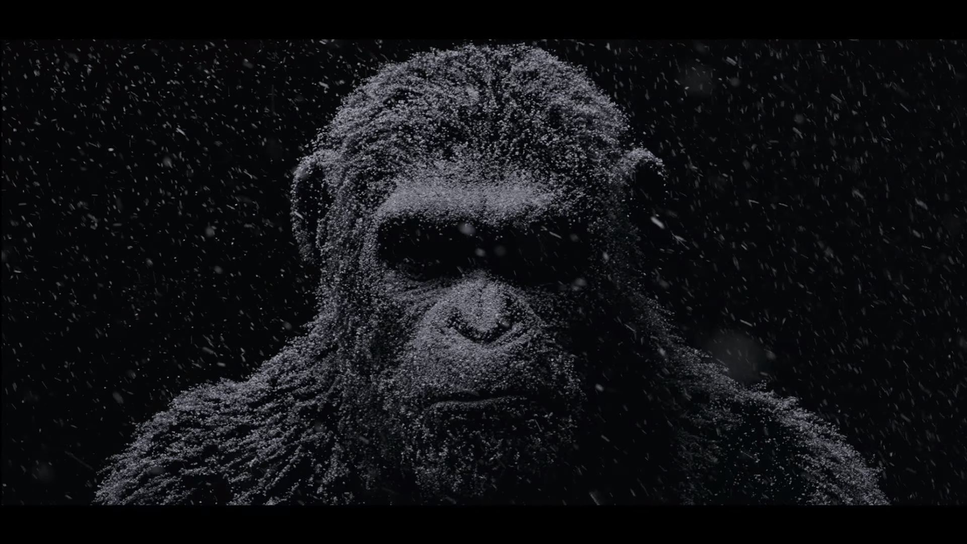 War for the Planet of the Apes Movie Wallpaper
