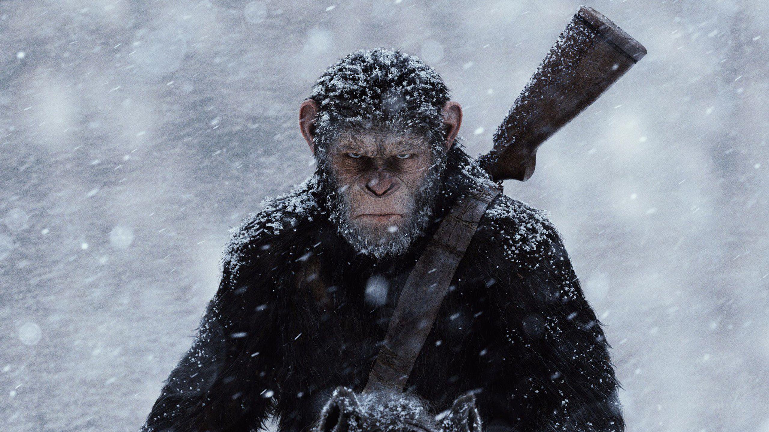 War For The Planet Of The Apes HD Wallpaper. Background