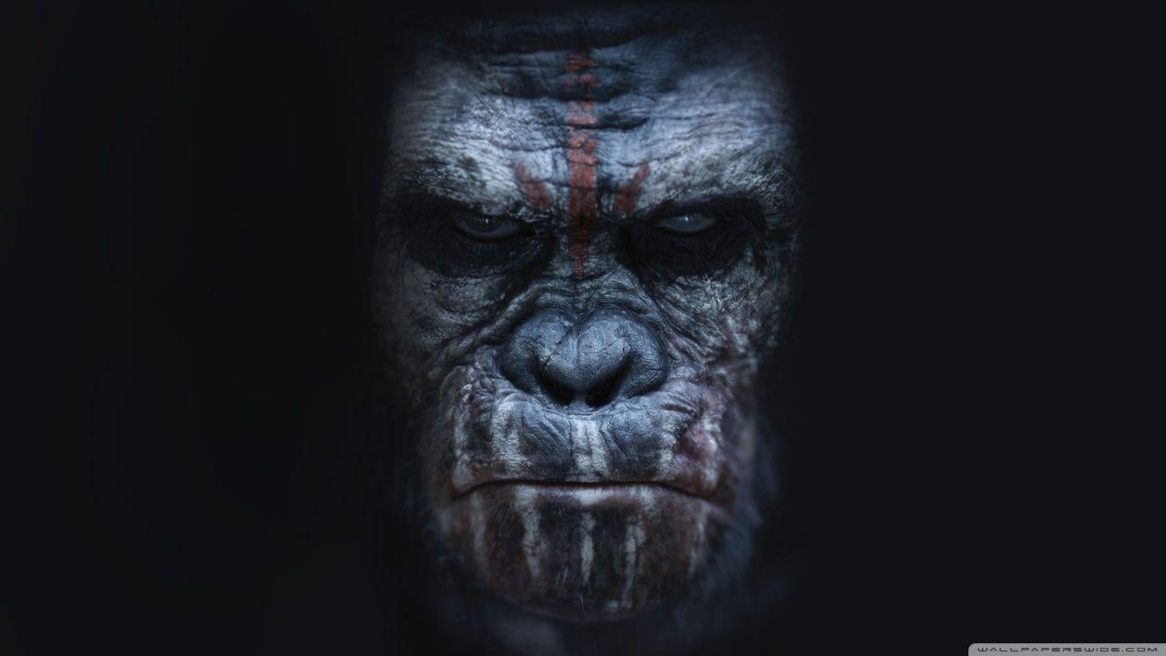 Dawn of the Planet of the Apes Koba HD desktop wallpaper