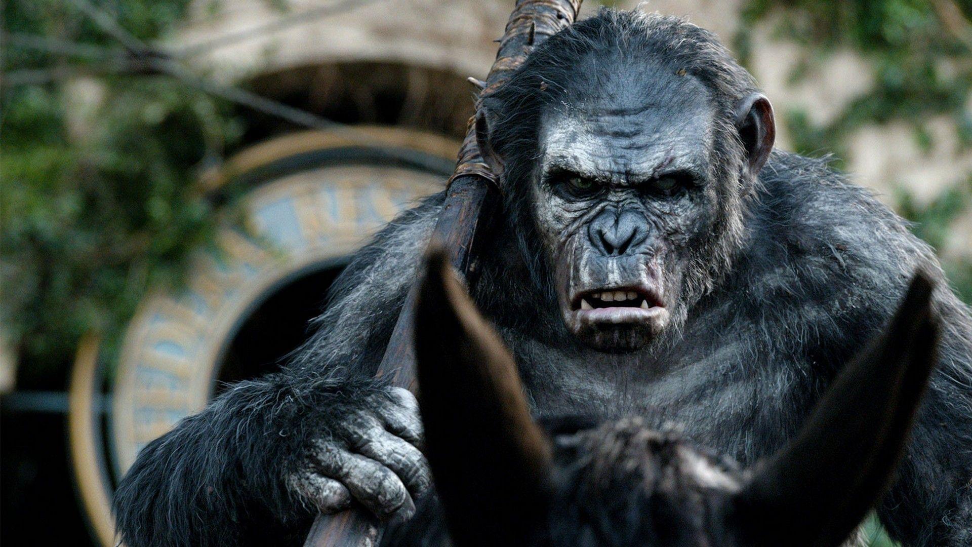 Dawn Of The Planet Of The Apes Maurice