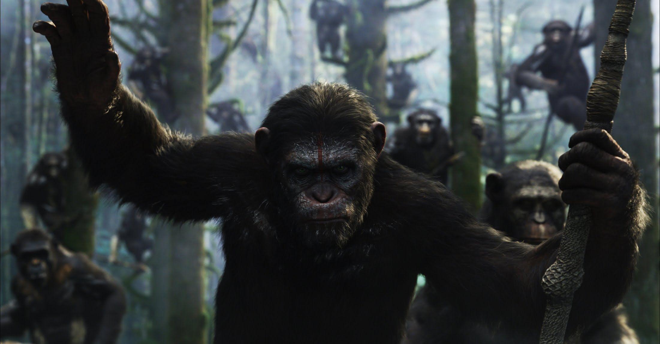 Dawn of the Planet of the Apes HD wallpaper