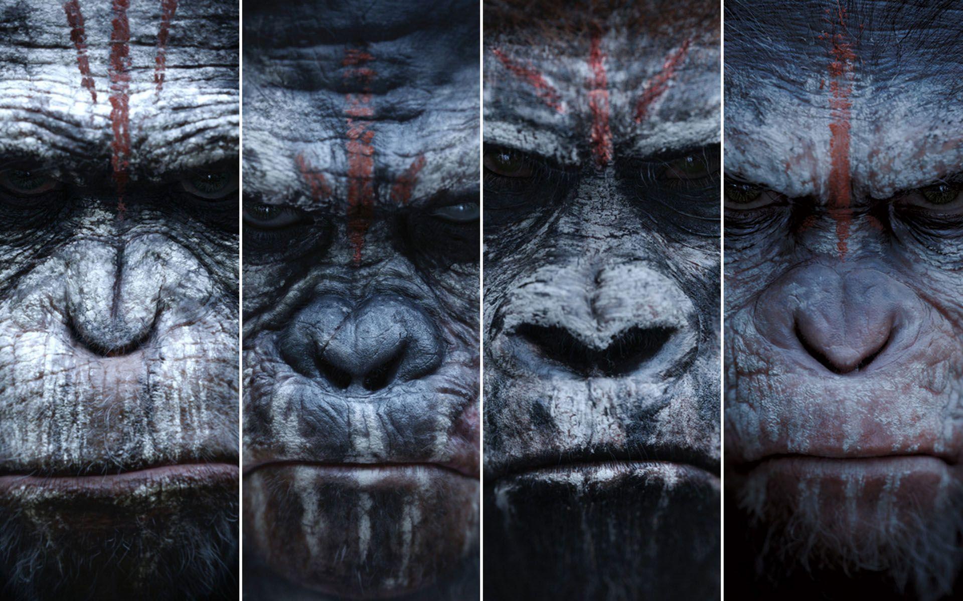 Apes again dominate the box office. Hollywood. Box