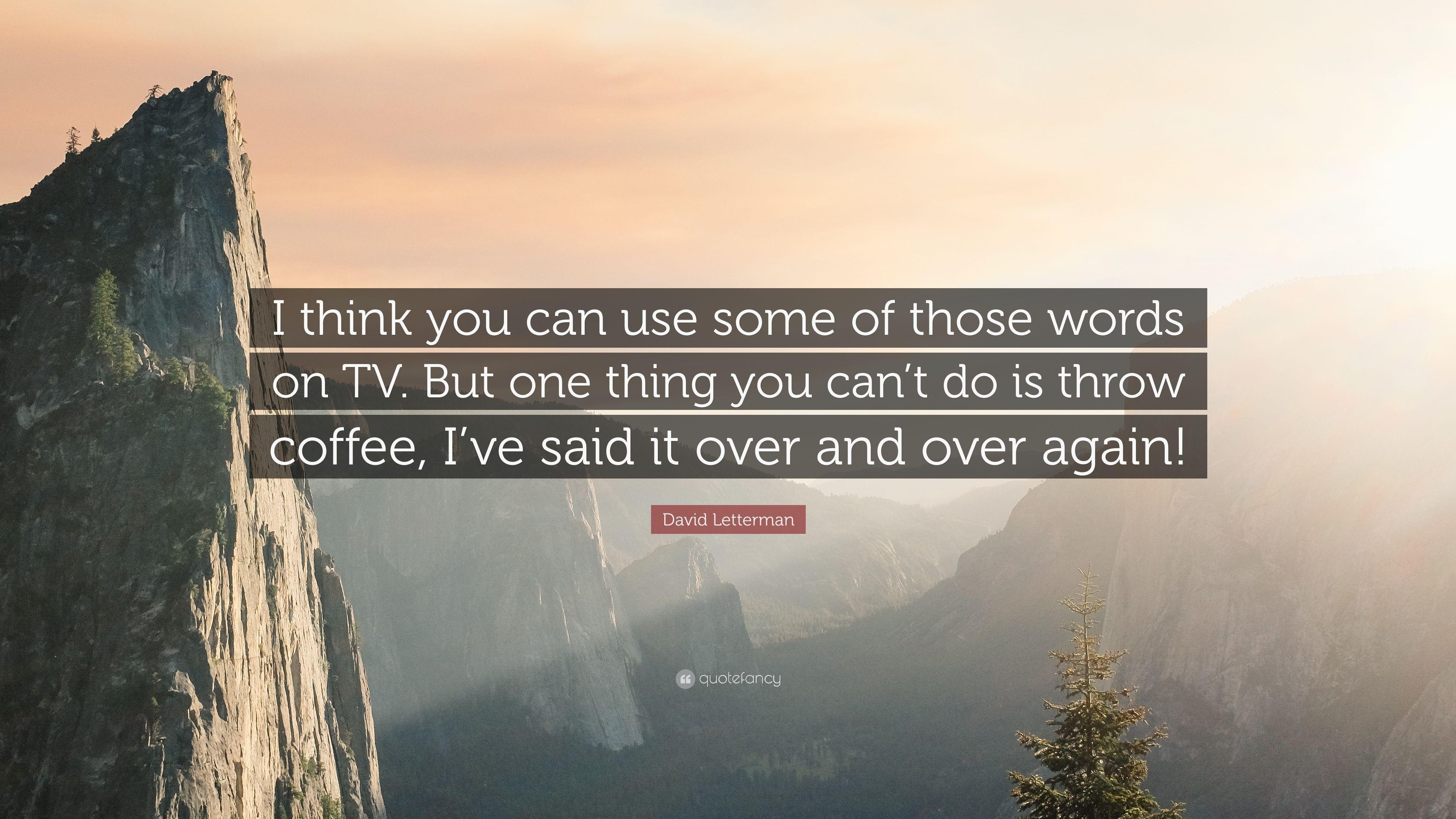 David Letterman Quote: “I think you can use some of those words