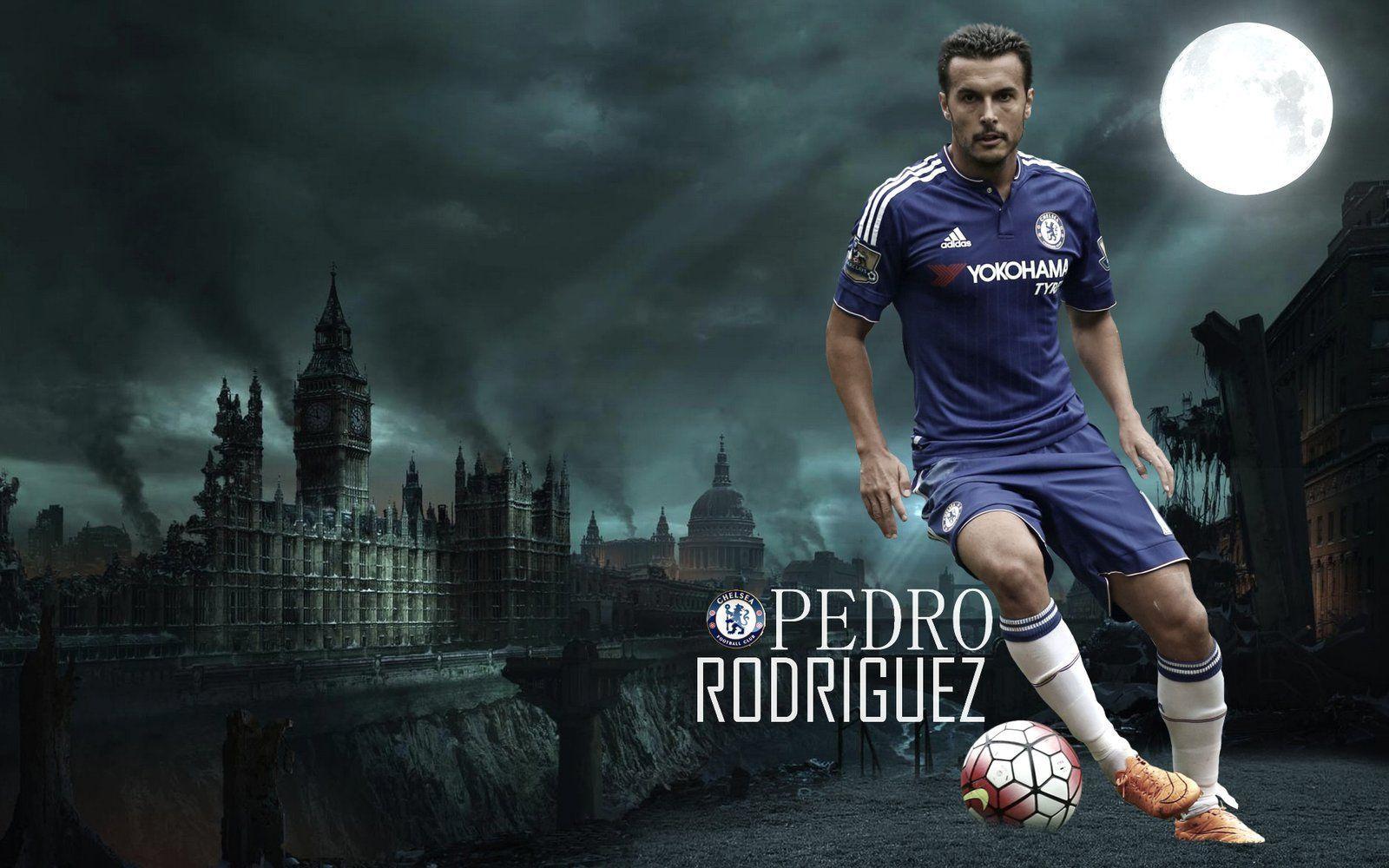 Pedro Wallpaper, Pedro High Quality #BYB75 Mobile And Desktop
