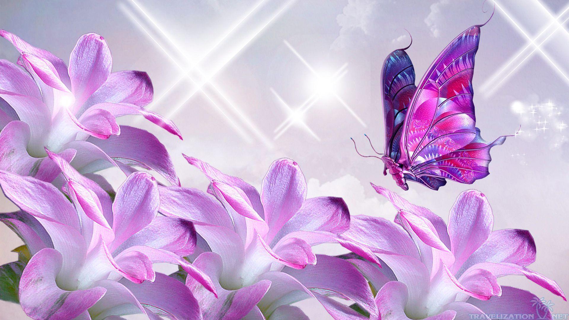 Pink Butterfly On Flower Wallpaper Free, Animal Wallpaper