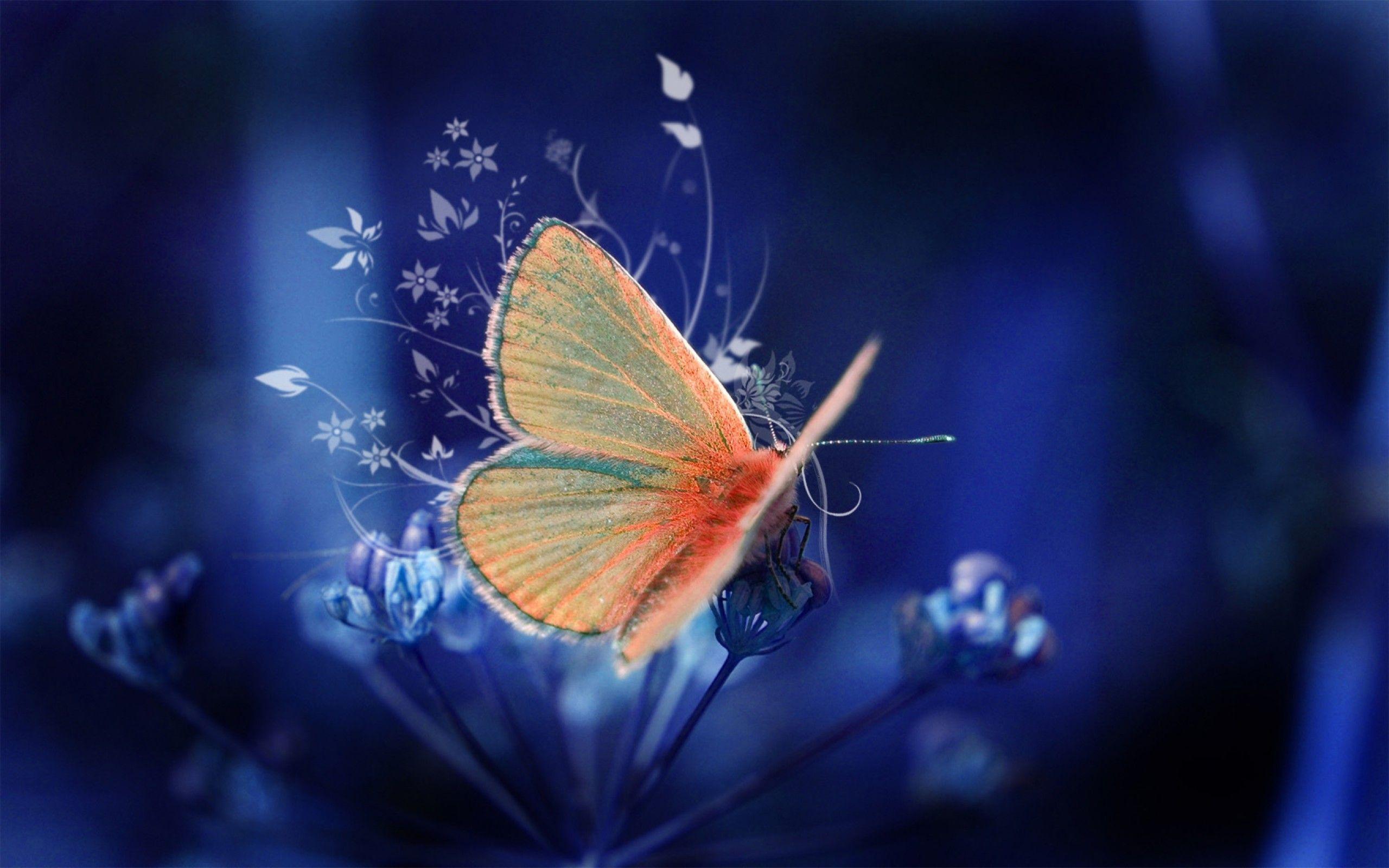Butterflies And Flowers Wallpaper, 39 PC Butterflies And Flowers