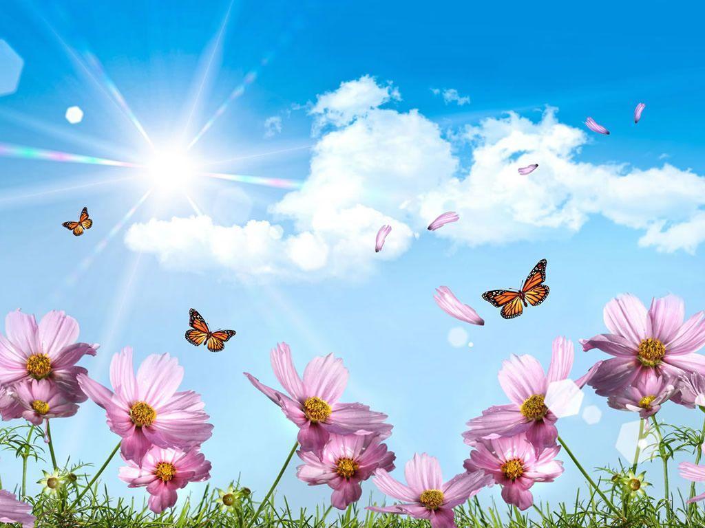 image of flowers and butterflies. flowers flowers wallpaper