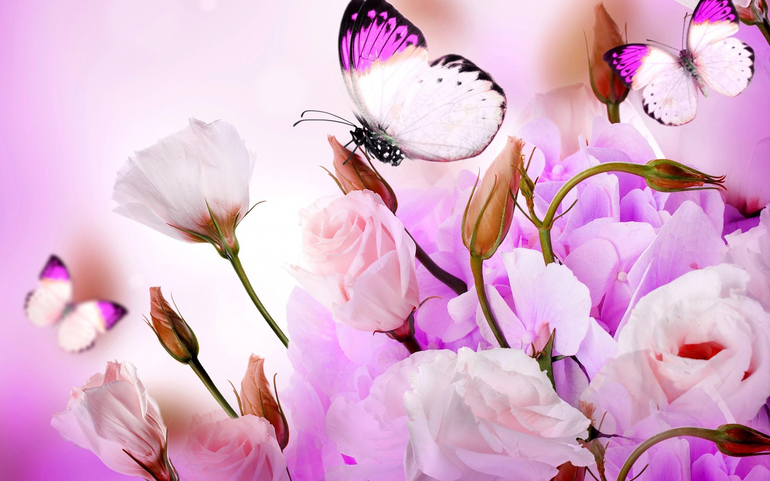 Butterfly With Flowers Wallpaper