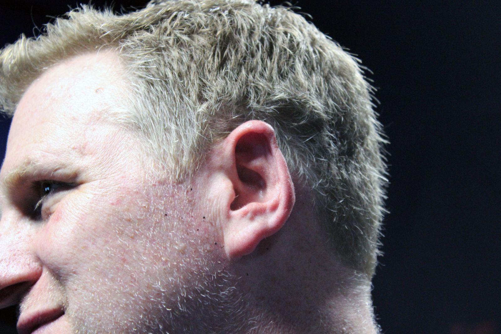 Picture of Michael Rapaport Of Celebrities