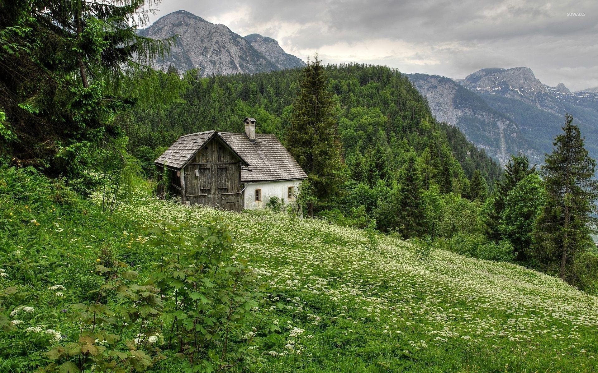 Old house in the forest mountain wallpaper wallpaper