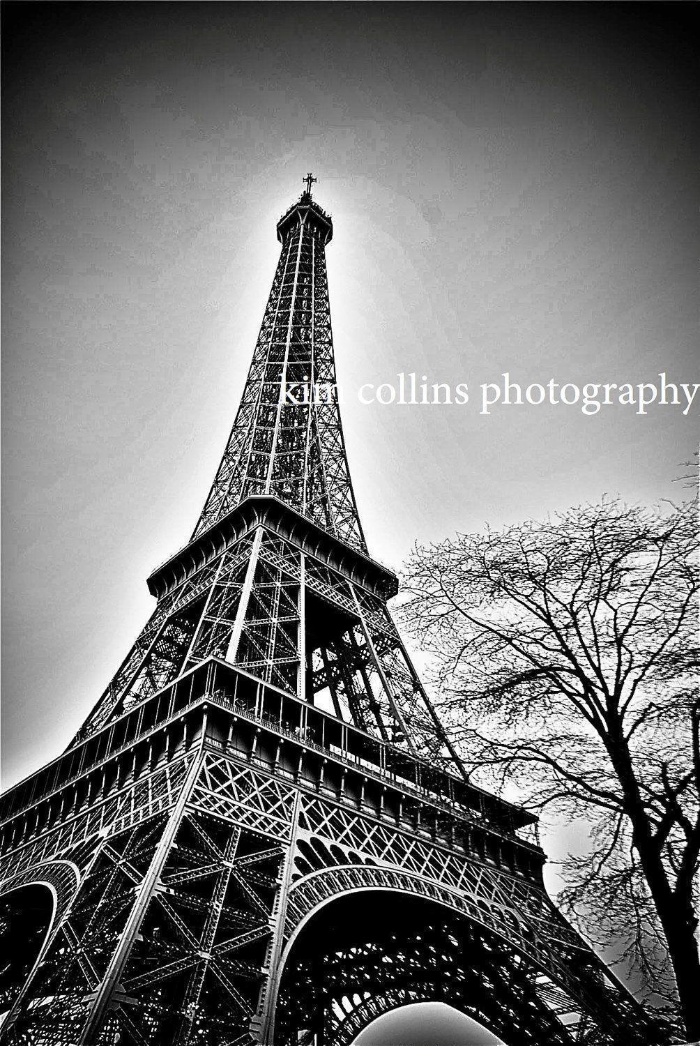 Eiffel Tower With Tree Black& White Fine Art Photography Paris