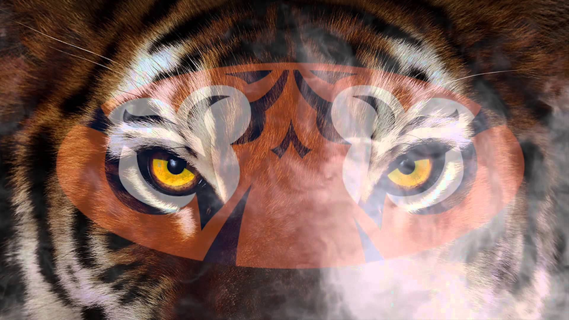 Auburn Tiger Football