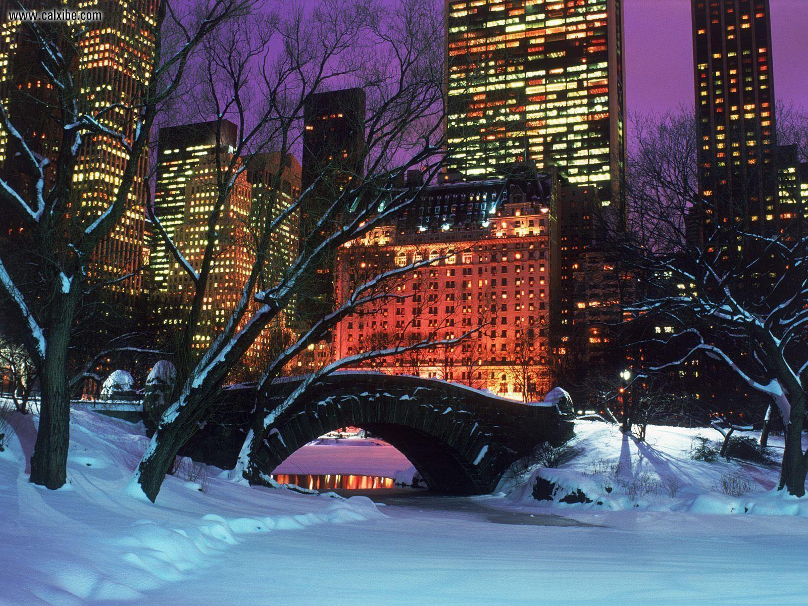 Buildings City Central Park In Winter New York Desktop Night