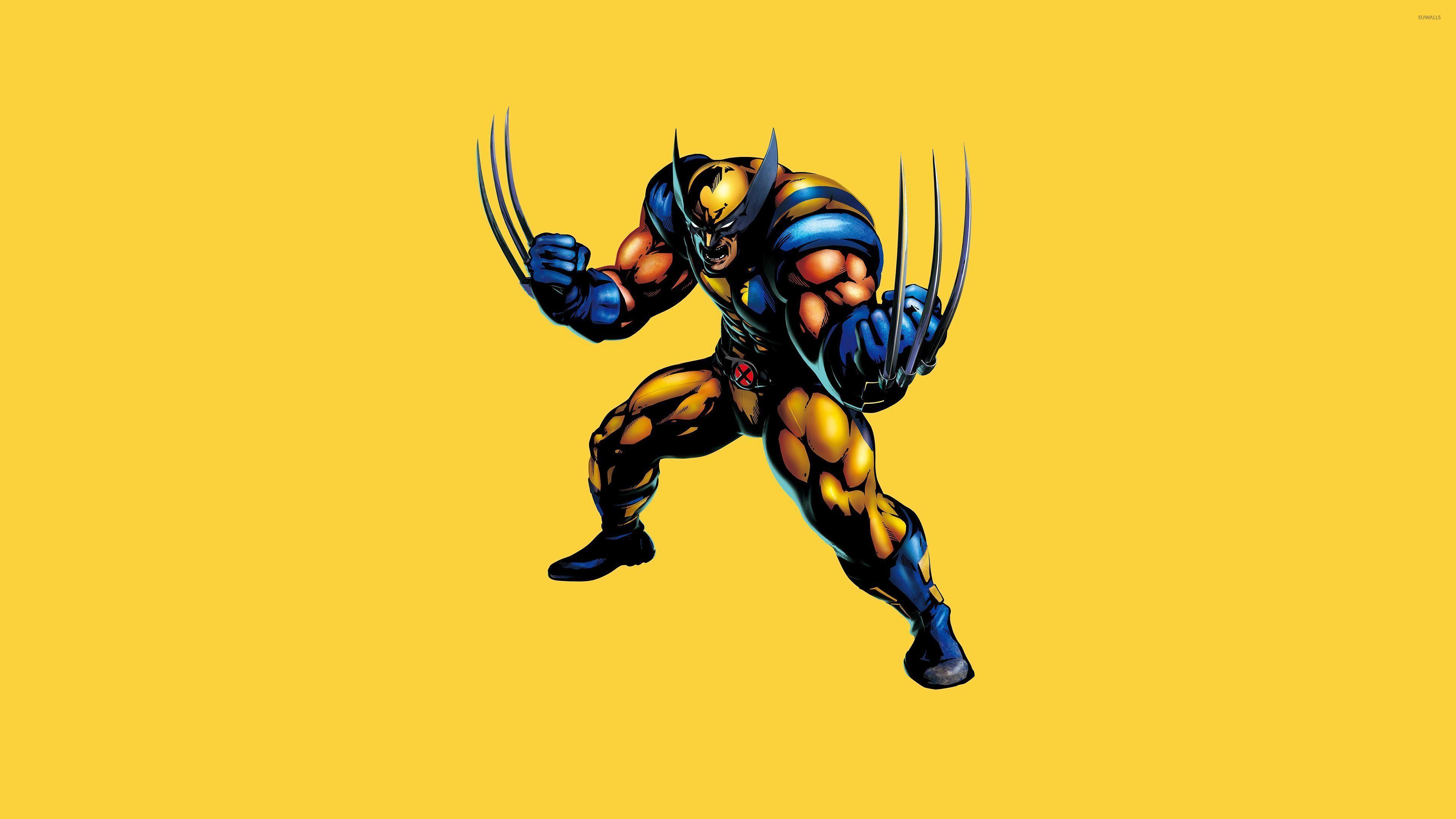 Wolverine ready for a fight wallpaper wallpaper