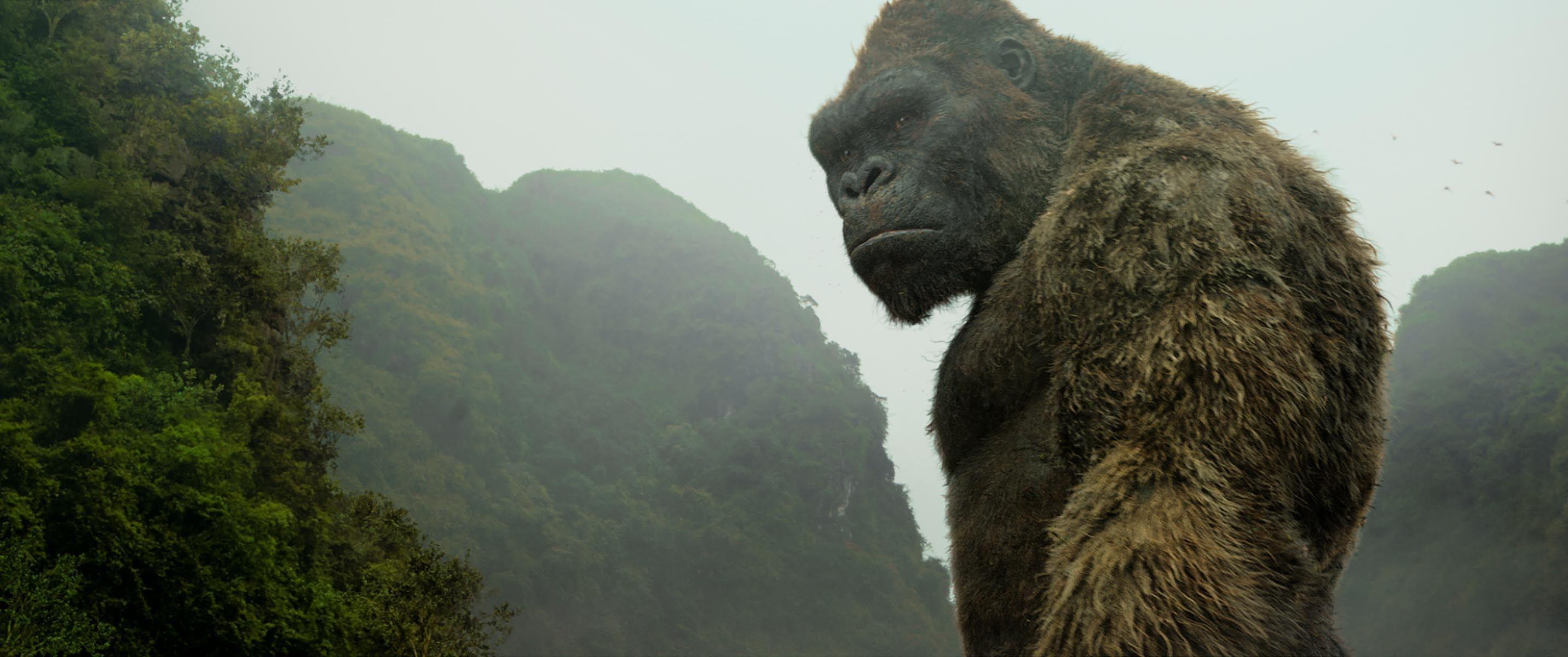 The King Is Unleashed In 55 Magnificent New Hi Res Stills From