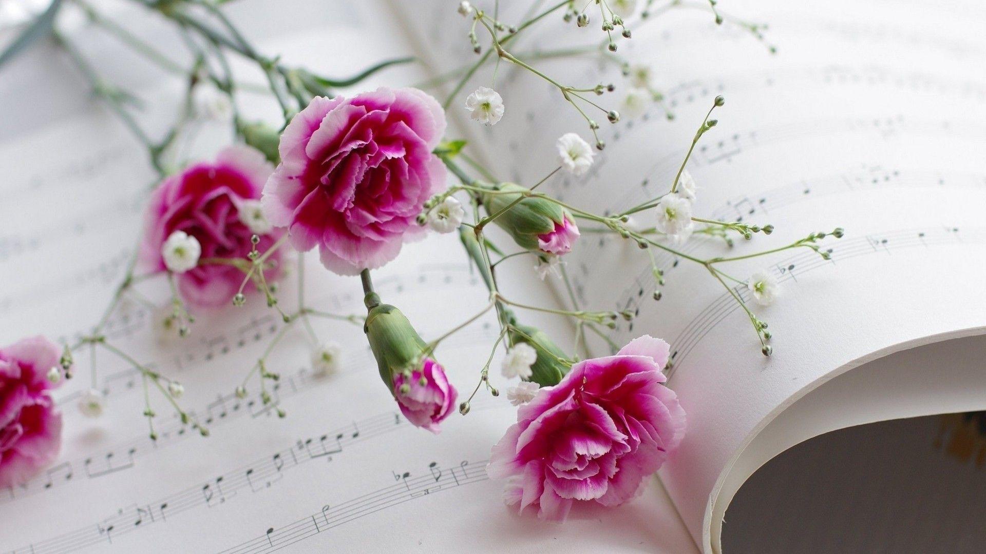 Pink flowers and music wallpaper. PC