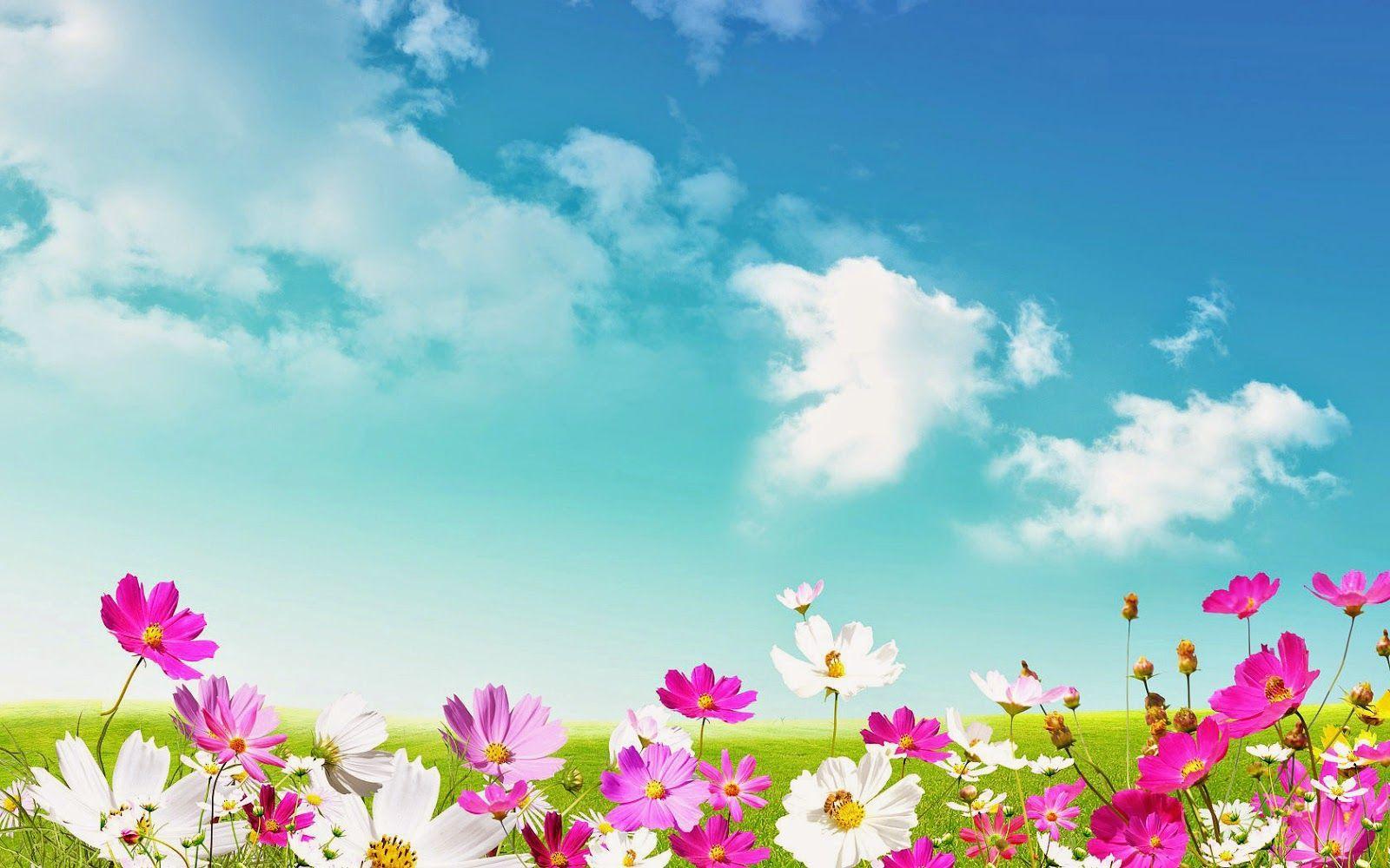 HD frühling hintergrundbilder fruhjahr