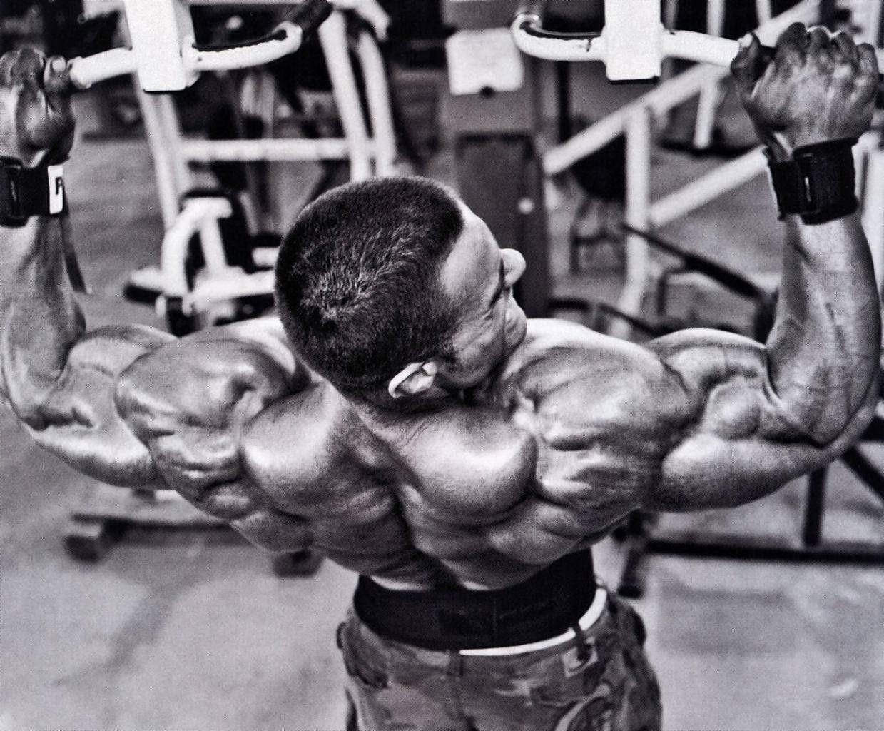 Evan Centopani Wallpaper 21 Musculation Nutrition