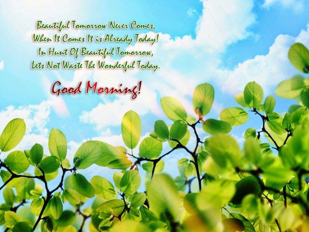 Beautiful Good Morning Wallpaper With Wishes And Quotes