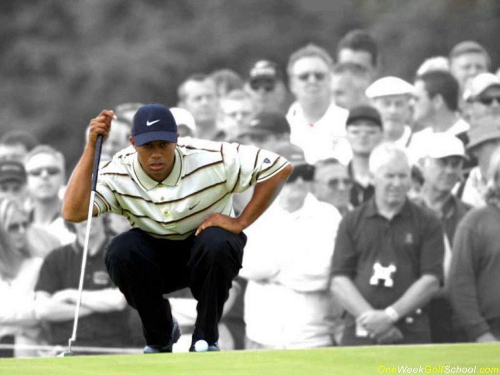 Tiger Woods Wallpaper  iXpap  Tiger woods Golf inspiration Golf pictures