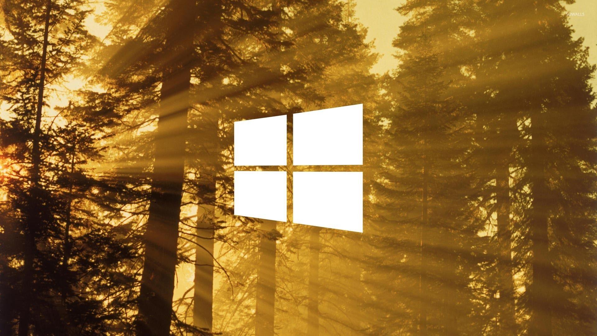 Windows 10 on sun rays in the forest simple white logo wallpaper wallpaper
