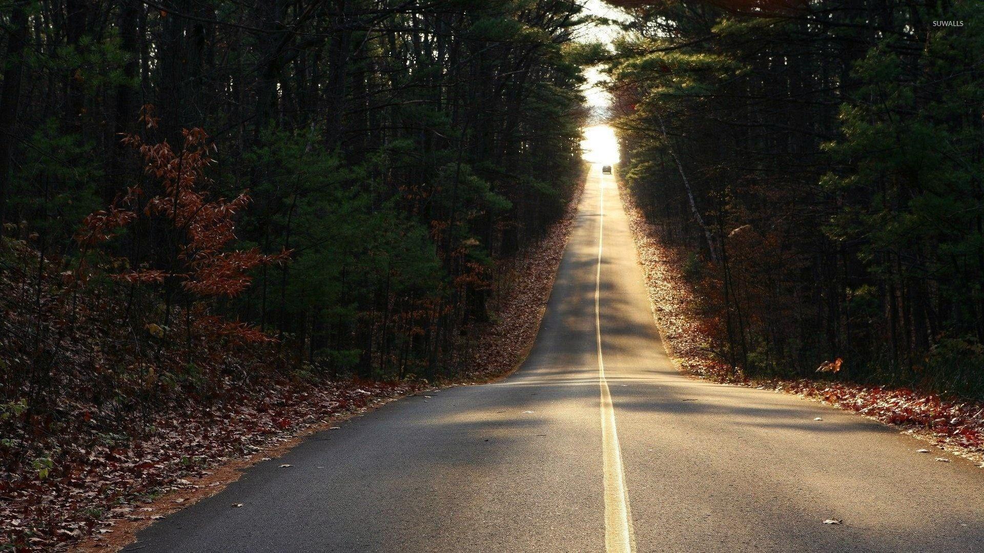 Roadest wallpaper wallpaper