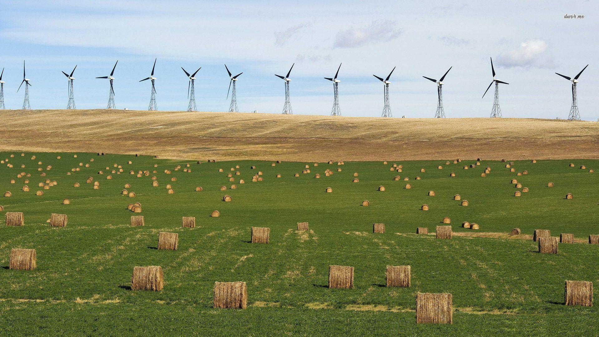 Wind Turbine Farm Wallpaper
