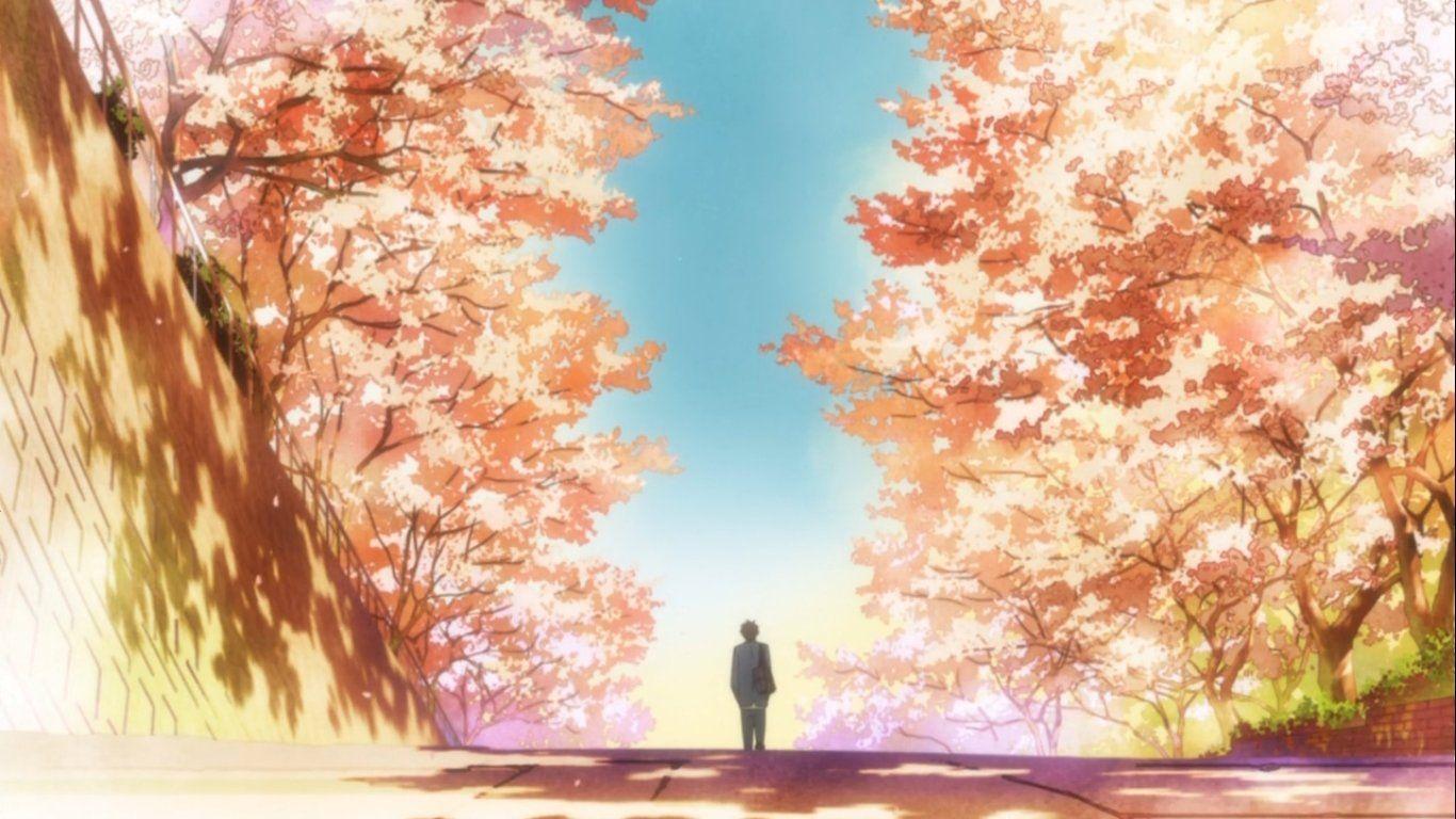 Kimi Ni Todoke Wallpapers - Wallpaper Cave