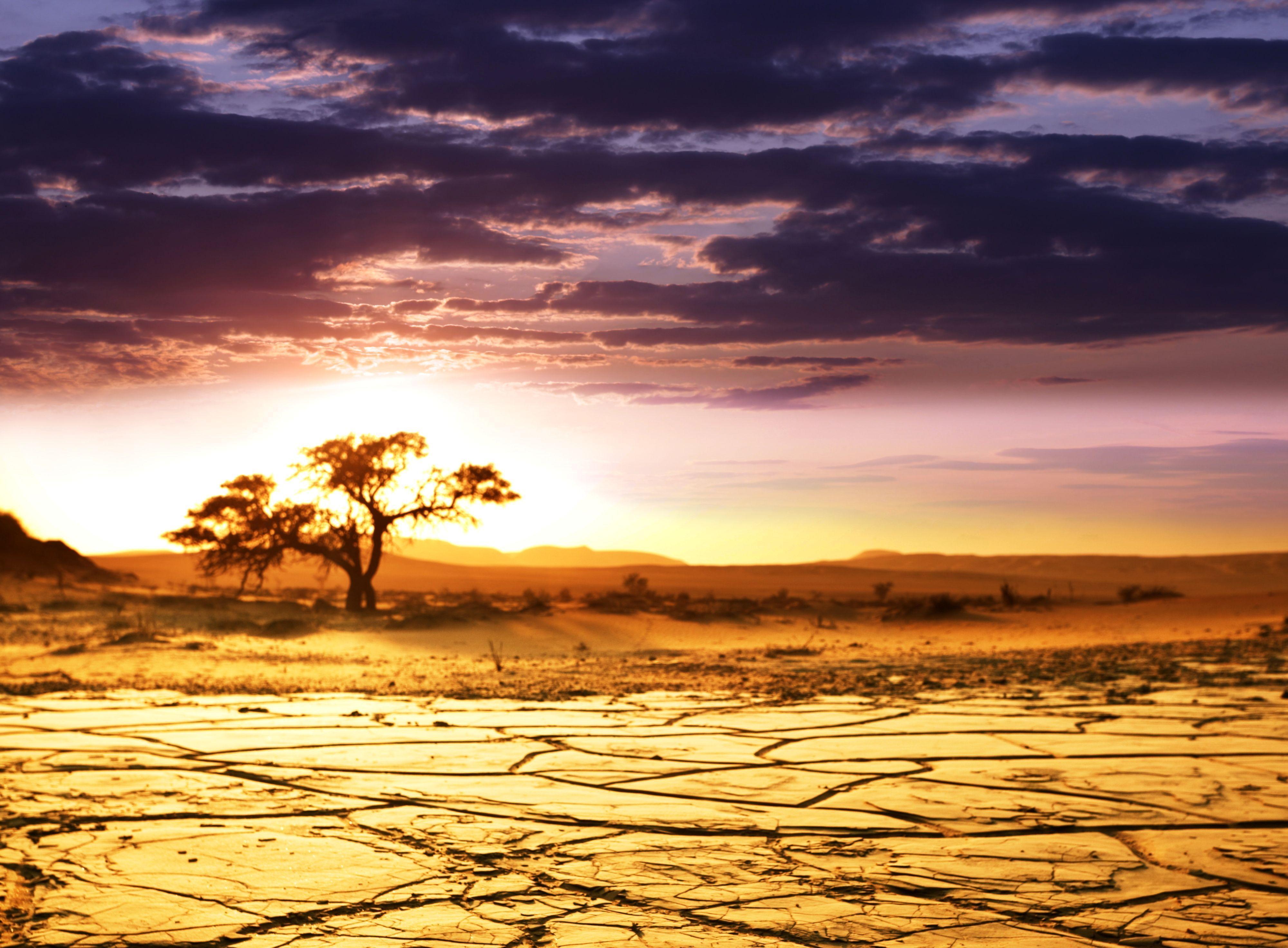 Download wallpaper Africa, savannah, landscape, horizon free