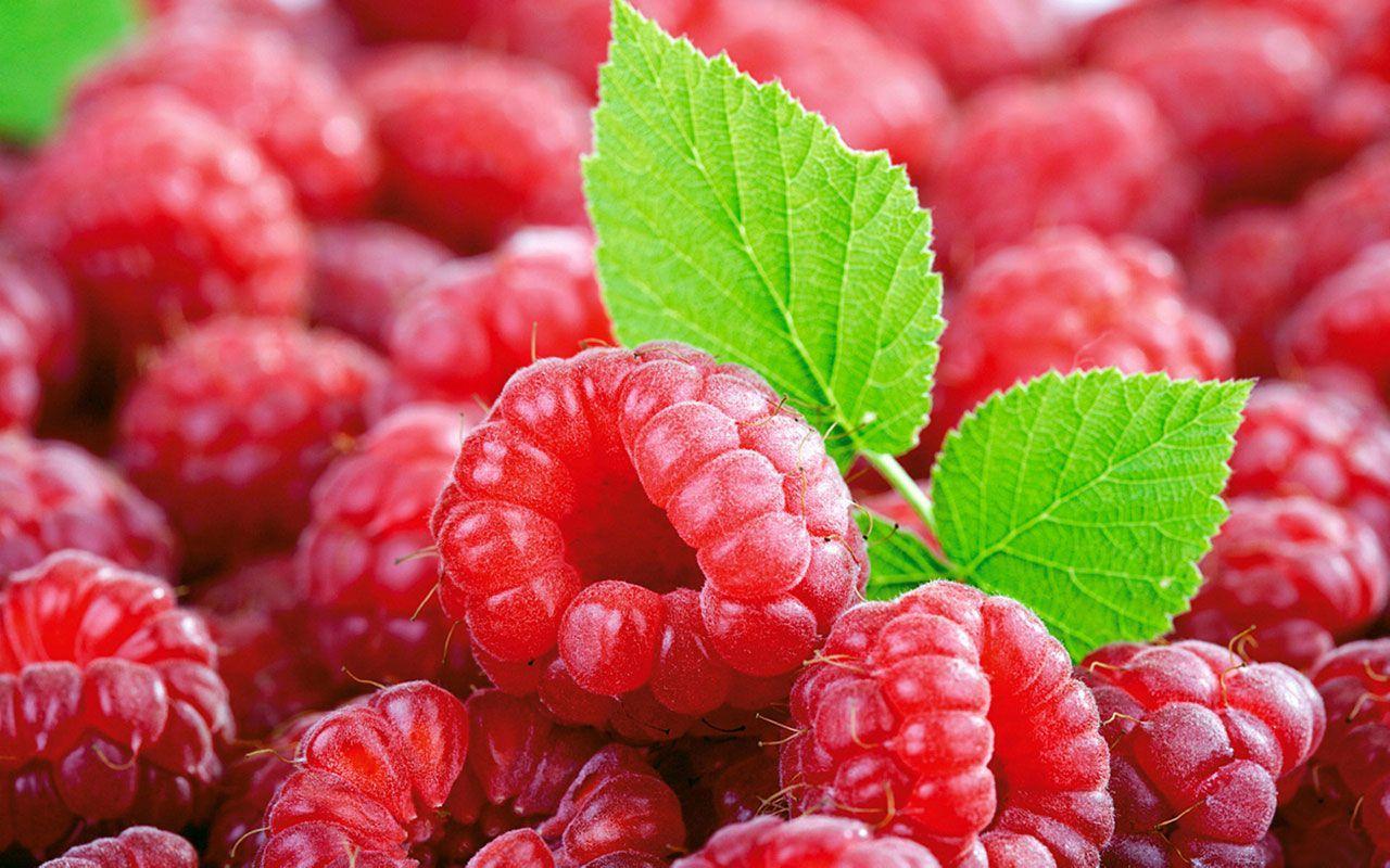 Raspberry Wallpaper