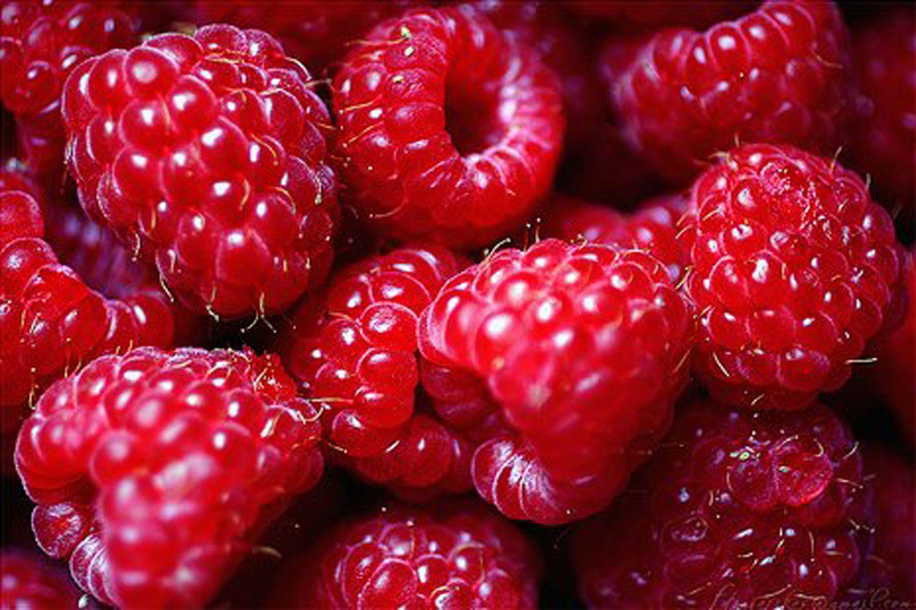 Fresh Raspberries iPhone Wallpapers Free Download