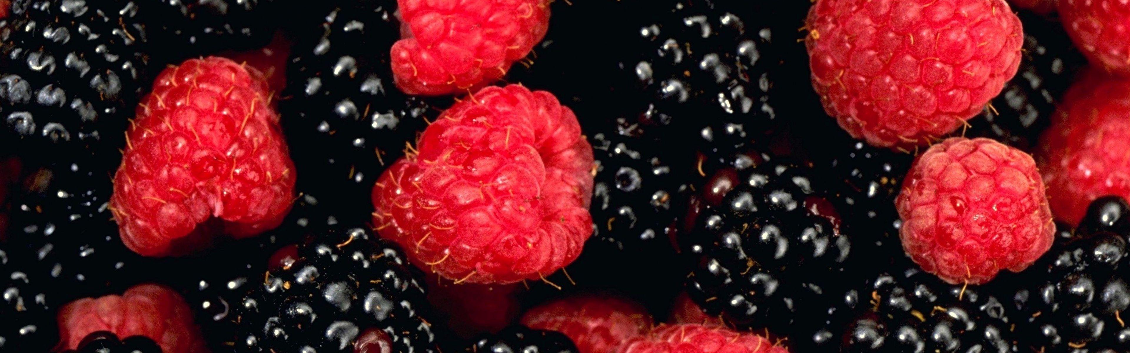 Raspberry Wallpapers - Wallpaper Cave