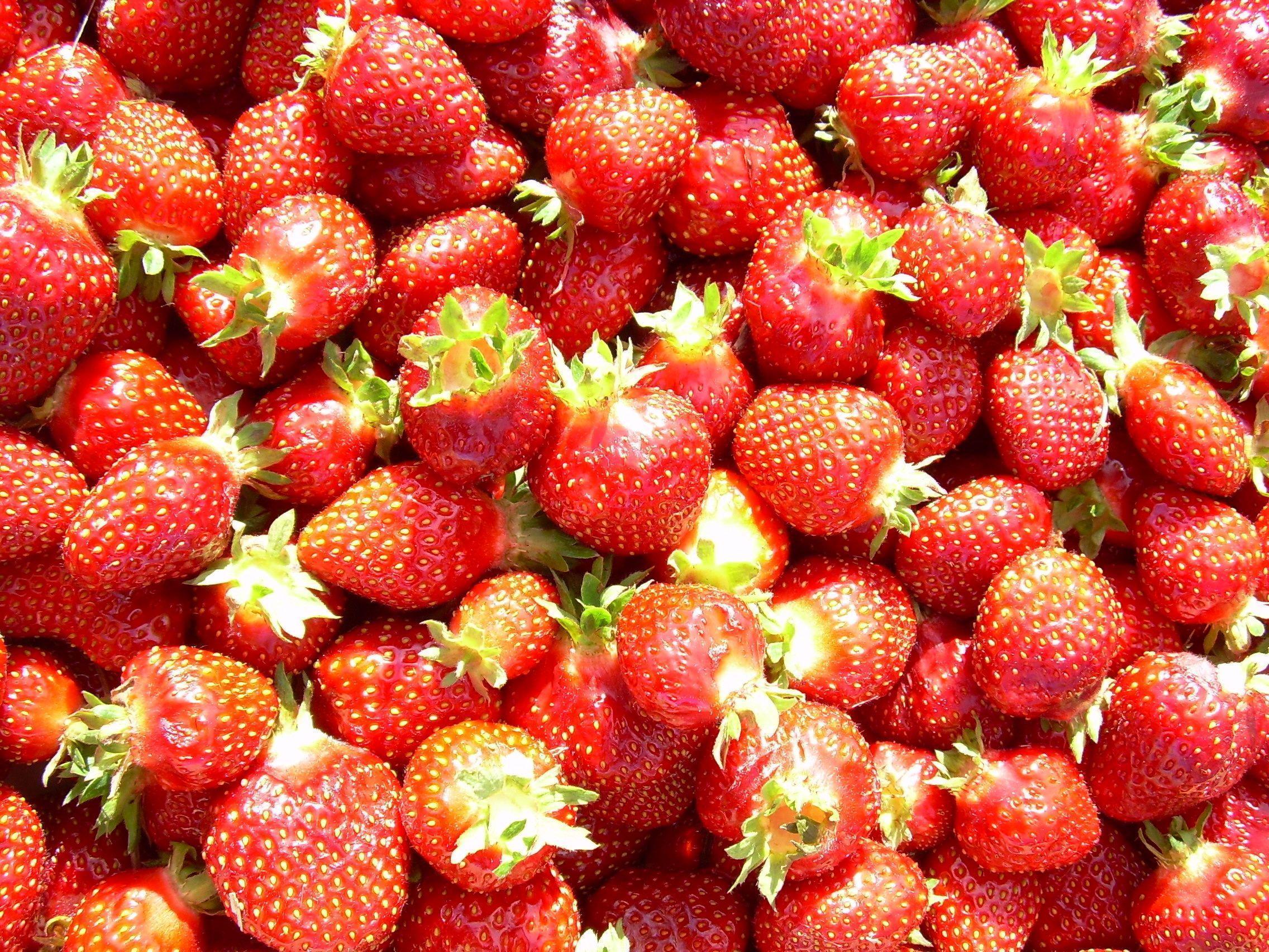 Strawberries Wallpaper HD Perfect Wallpaper Background Archived