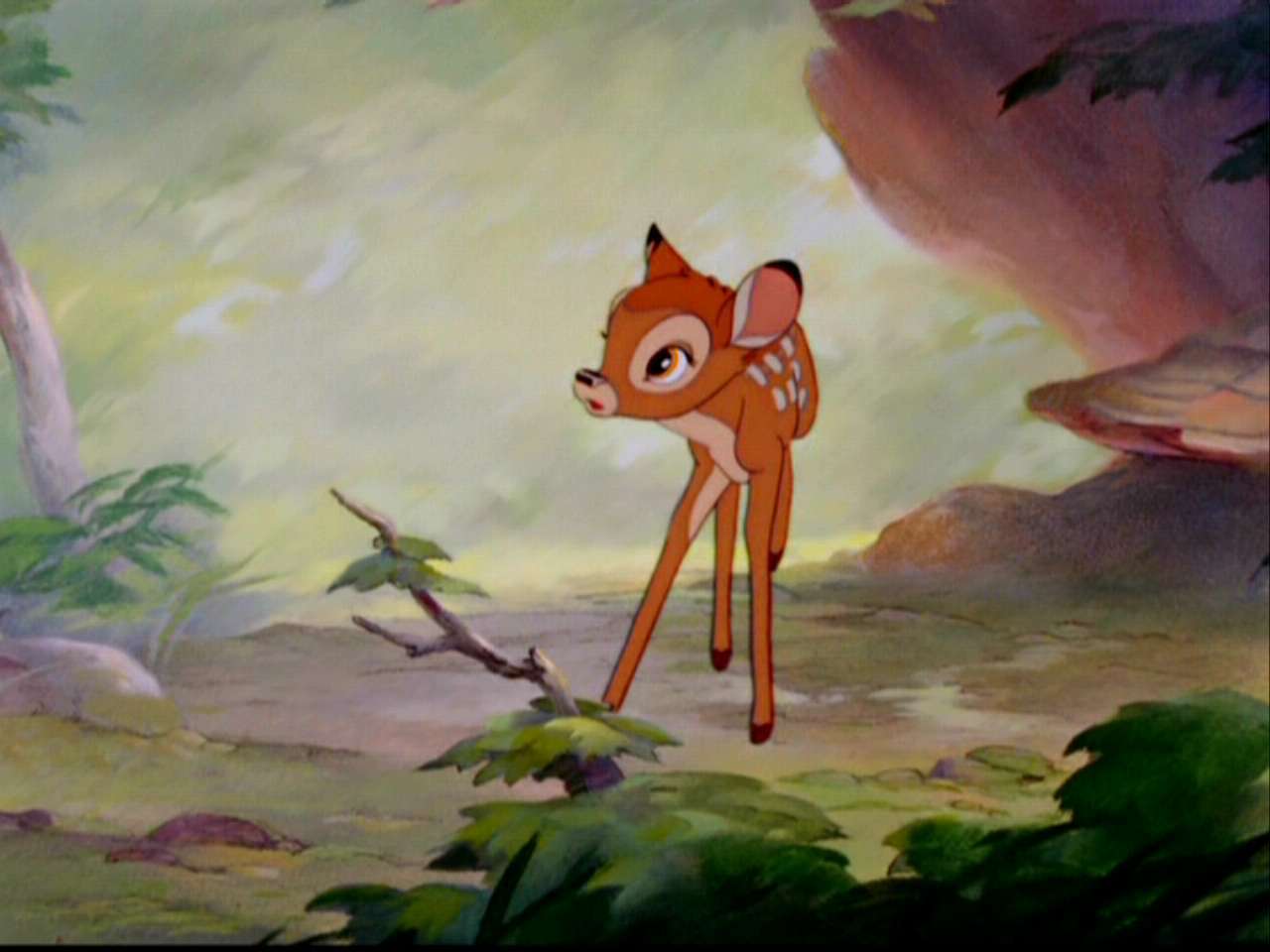 Disney Bambi Image Wallpaper for PC