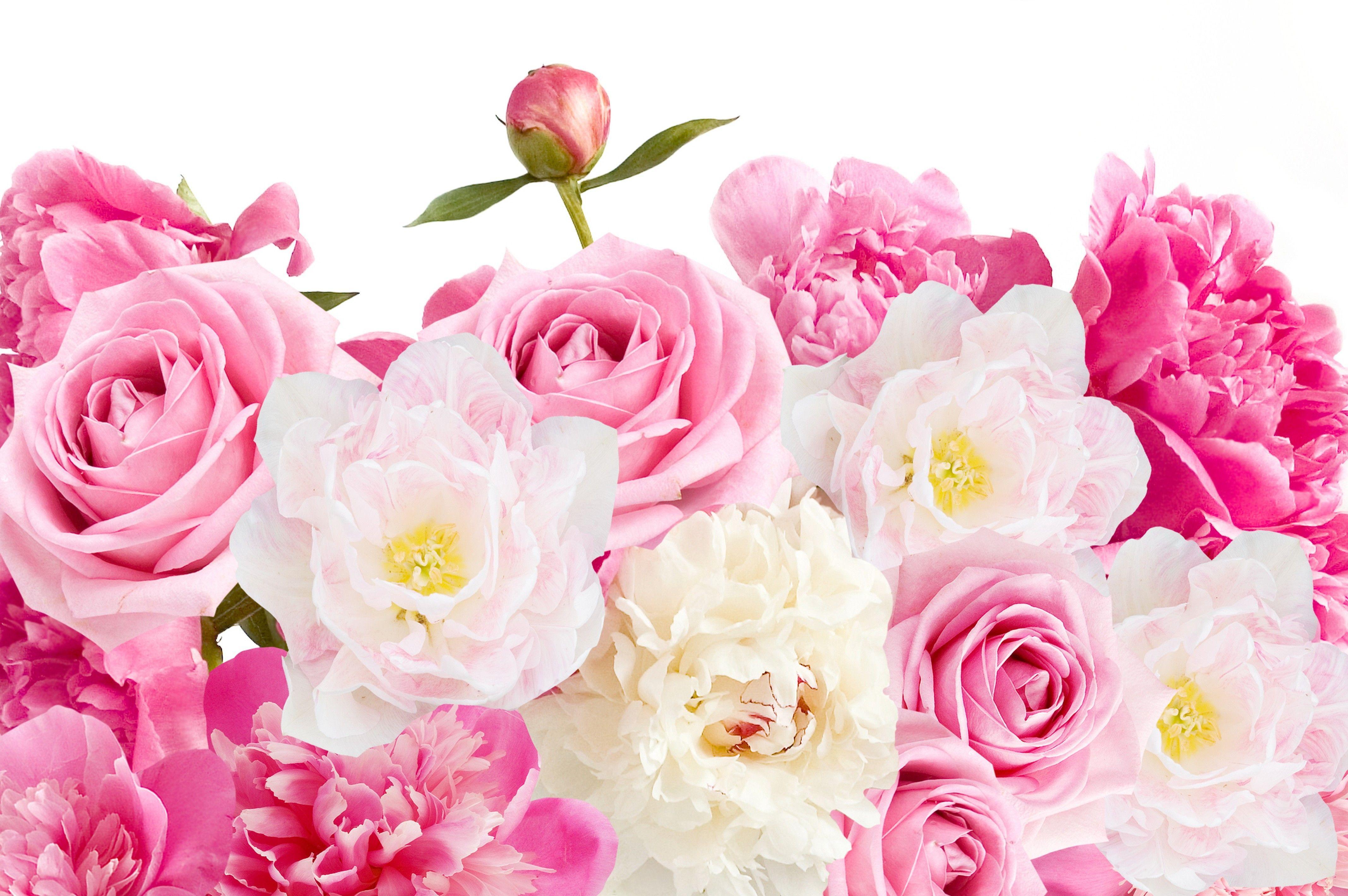 Pink Roses and Peonies 4k Ultra HD Wallpaper