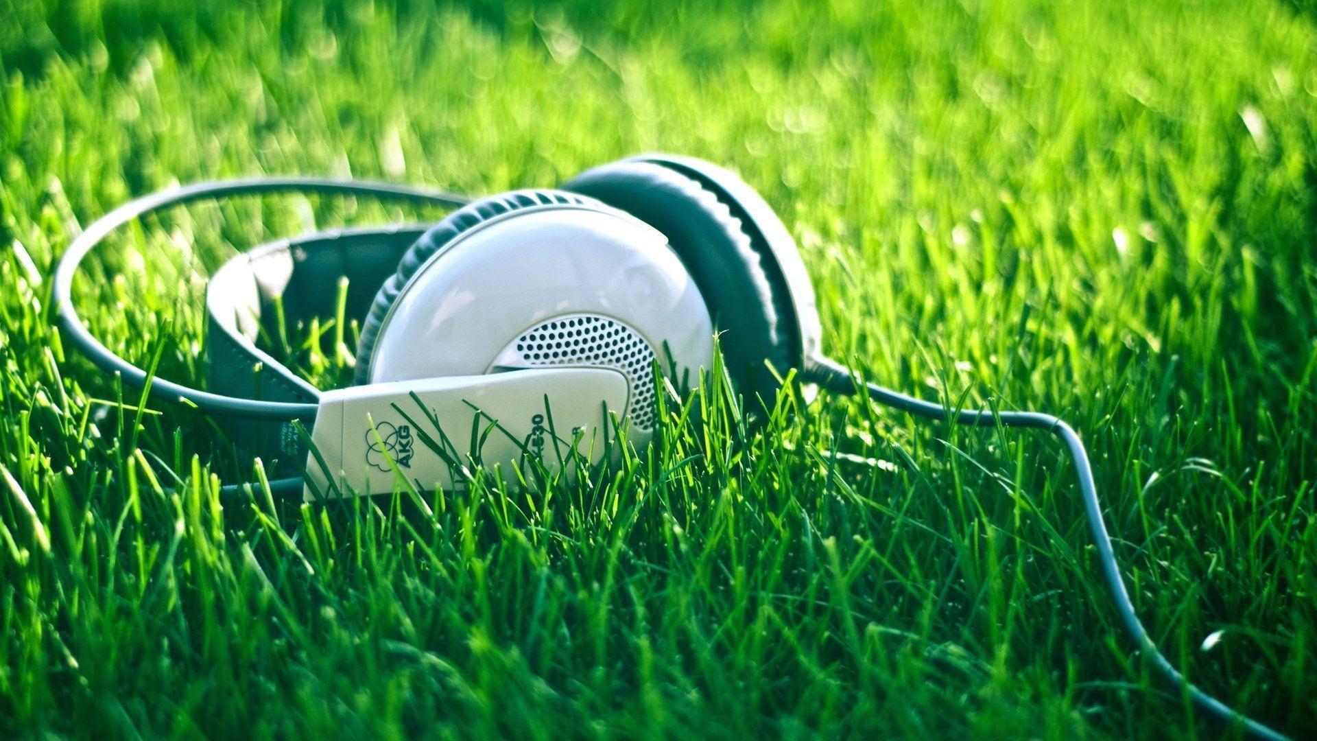 Headphones In Grass Wallpaper 529815