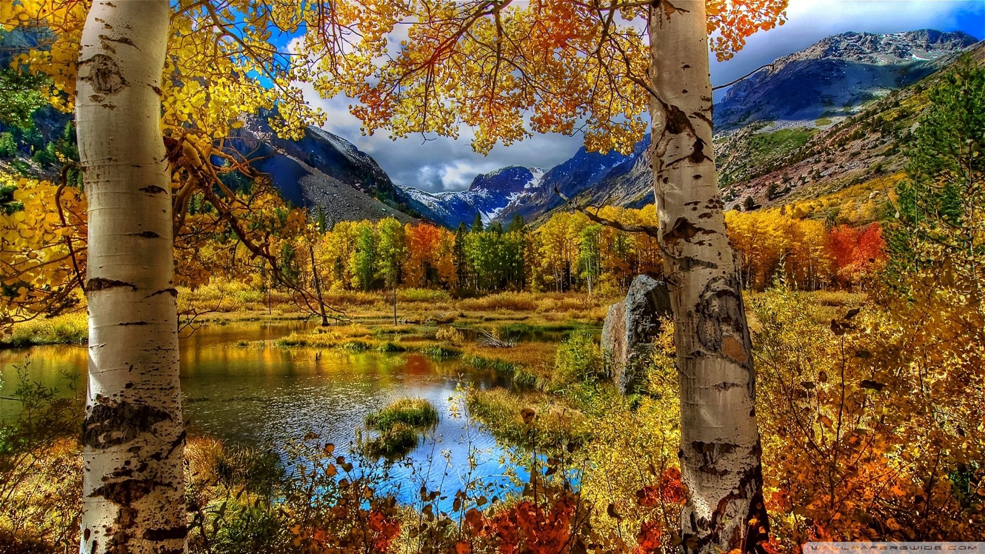 Download Perfect Autumn Scenery Wallpaper 1920x1080