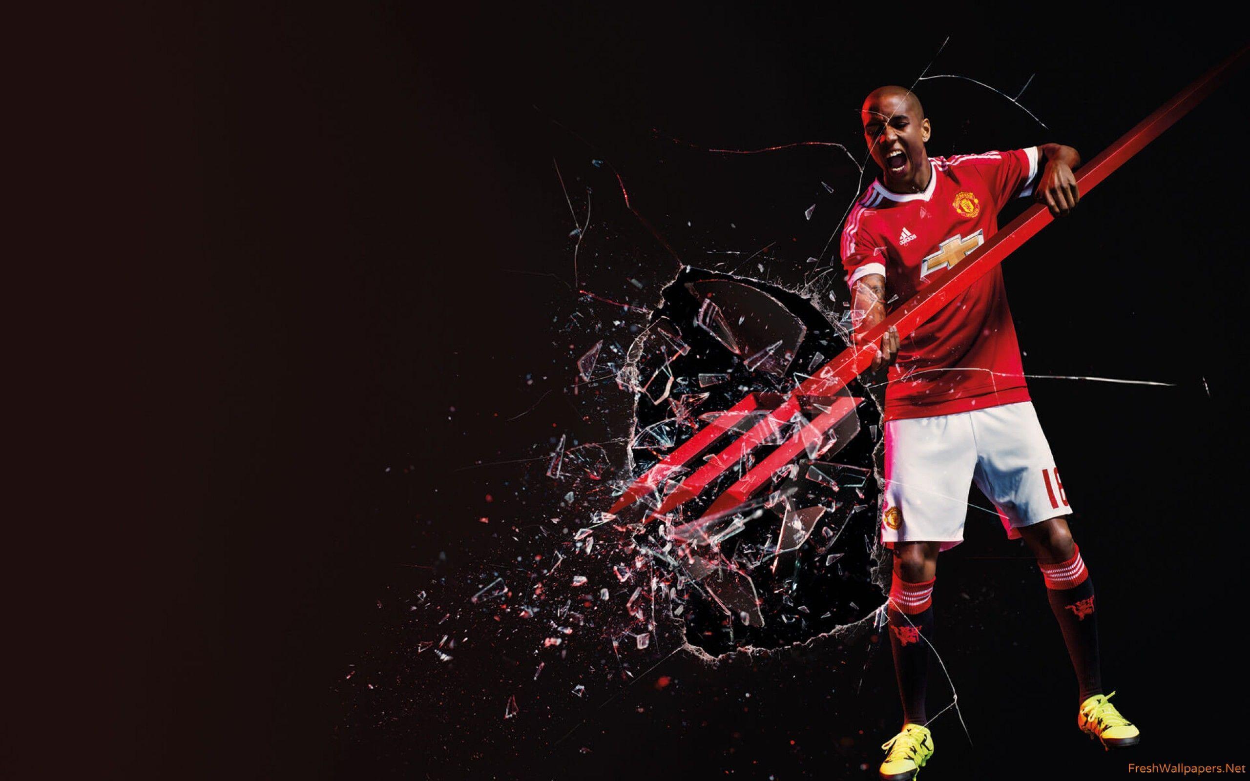Ashley Young 2015 2016 Manchester United Adidas Home Kit Wallpaper